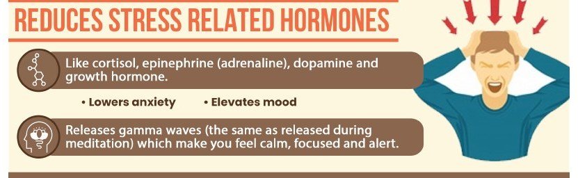 Laughter research infographic: laughter reduces stress hormones like cortisol and adrenaline, and releases gamma waves that leave you calm, focused and alert