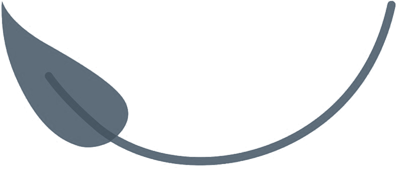 ILP Trainer silver leaf badge